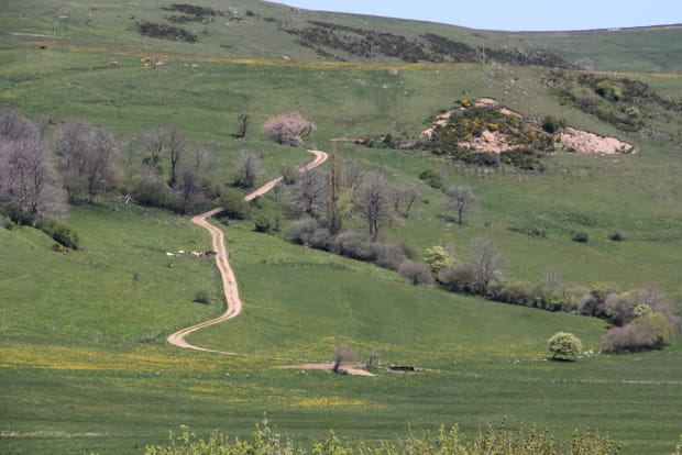Le plateau de Cézallier