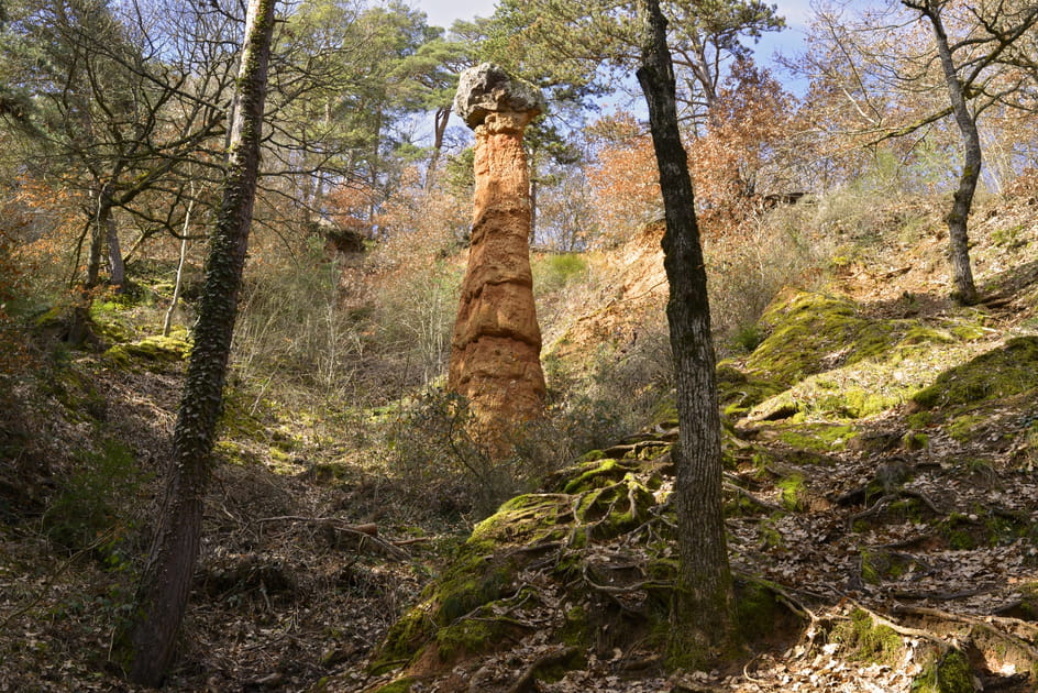 La chemin&eacute;e de F&eacute;es de Cotteuges