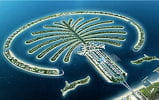 the palm