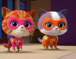 SuperChatons
