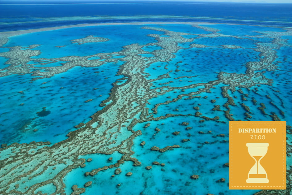 La Grande barri&egrave;re de corail en Australie