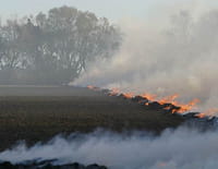 Les fureurs de la nature : Incendies : une étincelle et tout s'embrase