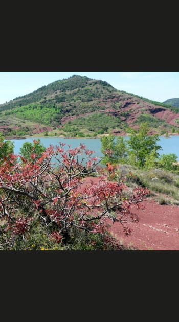Lac du Salagou, H&eacute;rault, Languedoc-Roussillon