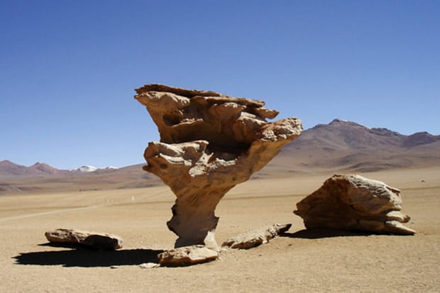 El Arbol de Piedra