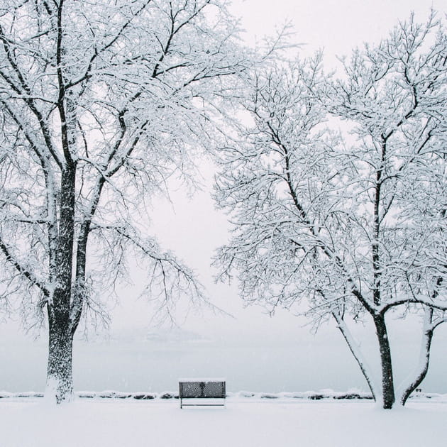 Sous un manteau de neige