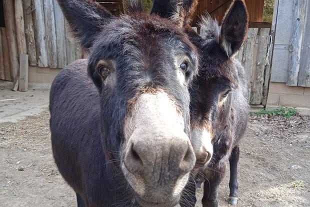 Découverte de la permaculture en Aveyron