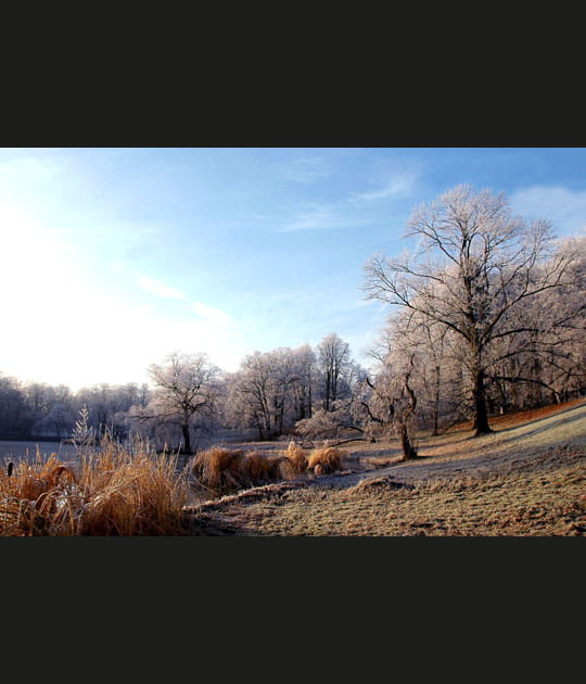Nature engourdie