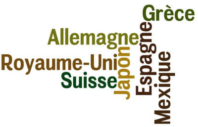 les pays présentant un taux de scolarisation des enfants de 100 %.
