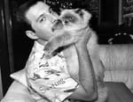 Freddie Mercury