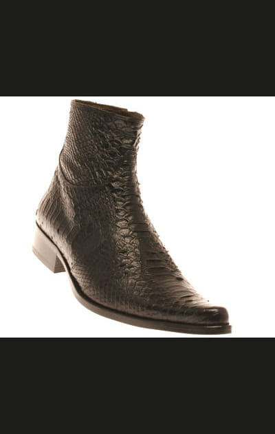 Bottine python