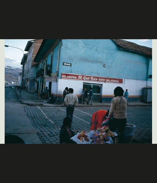 Promenade avec la Fondation LUMA&nbsp;: Kazuo Shinoara