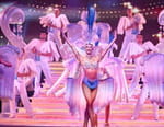 Bienvenue au spectacle ! 100 jours au Royal Palace