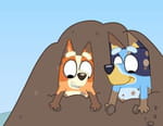 Bluey