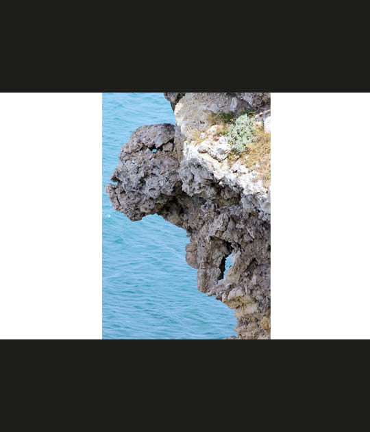 Le monstre de roche