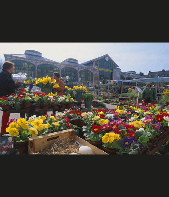 Le march&eacute; de Wazemmes