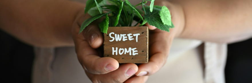 Comment payer le loyer&nbsp;? L'autre crise provoqu&eacute;e par les op&eacute;rations antimigrants de Trump