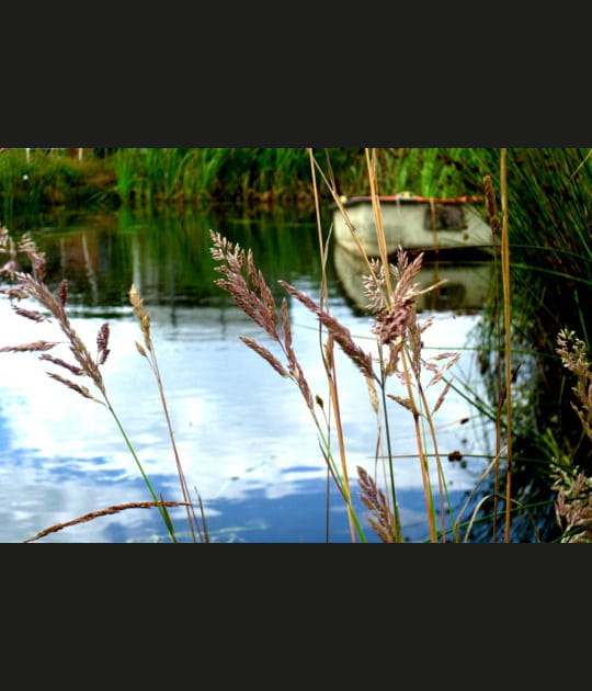 Au bord de l'&eacute;tang