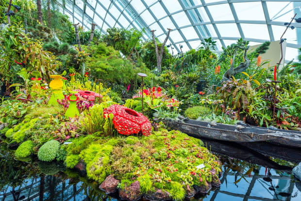 Se perdre dans les Jardins botaniques