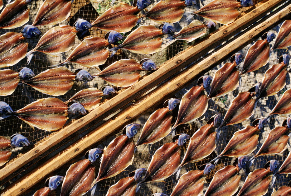 Sardines de Nazar&eacute;