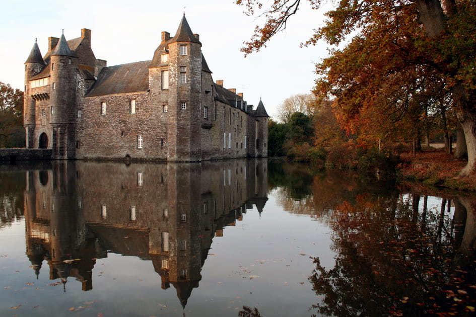 La for&ecirc;t de Broc&eacute;liande, mythique &agrave; l'automne