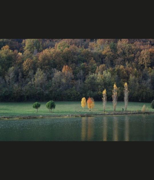 Autour du lac