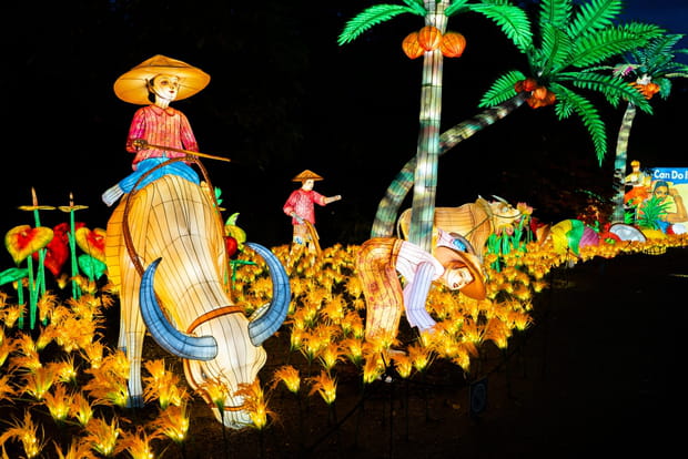 Un voyage en Asie au Festival Luminescences du Zoo d'Amnéville