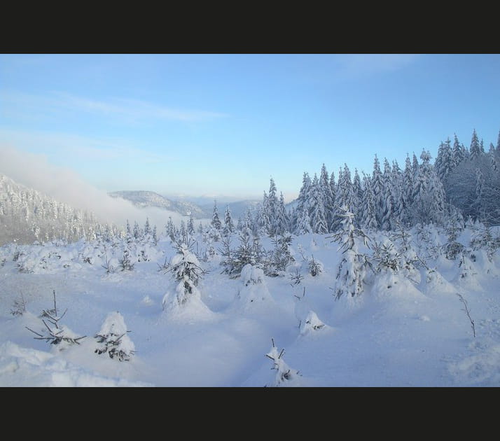 Ballon d'Alsace (Vosges) : 96 euros
