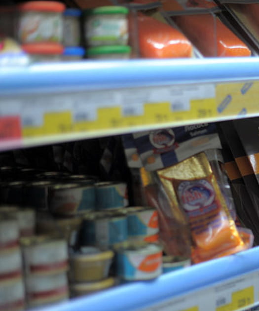 Les terrines de saumon