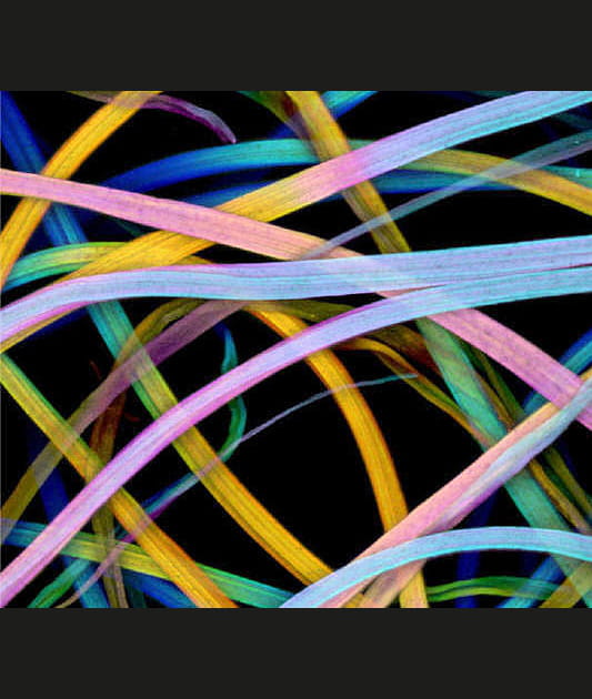 Serpentins multicolores