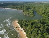 Le Brésil par la côte : L'Amazonie