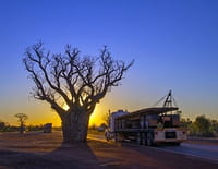 Routiers de l'Outback : Terre natale