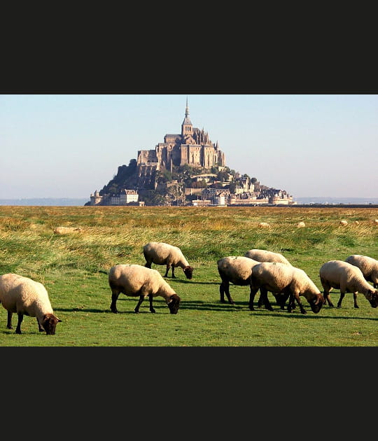 Pr&eacute;s-sal&eacute;s de la Baie du Mont Saint-Michel