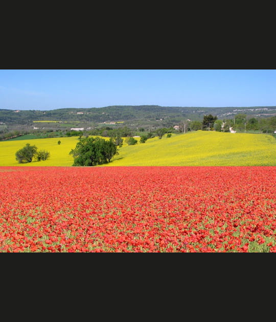 Campagne