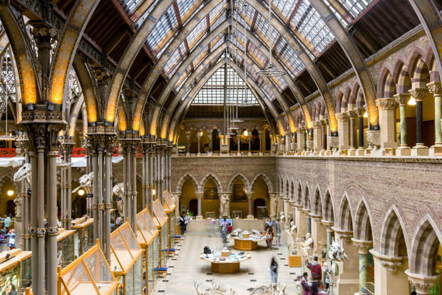 Le musée d'histoire naturelle de l'université d'Oxford
