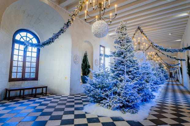 Le Grand Nord s'installe au château de Chenonceau