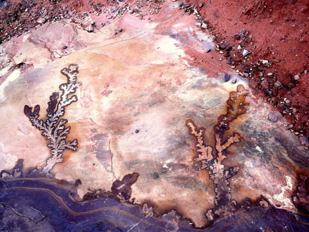 L'œuvre des Nabatéens