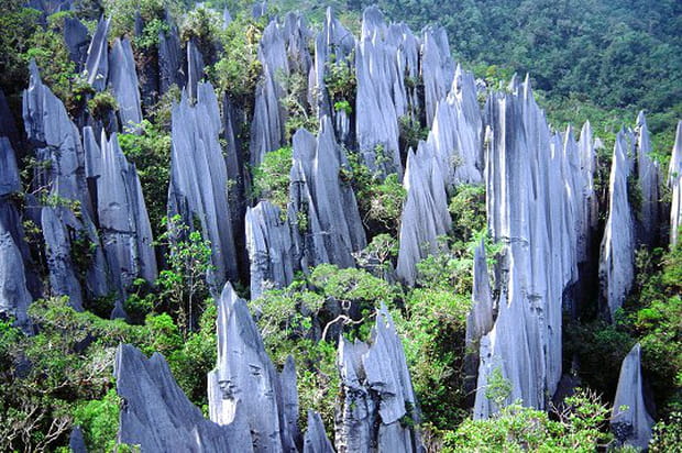 Le parc national de Mulu