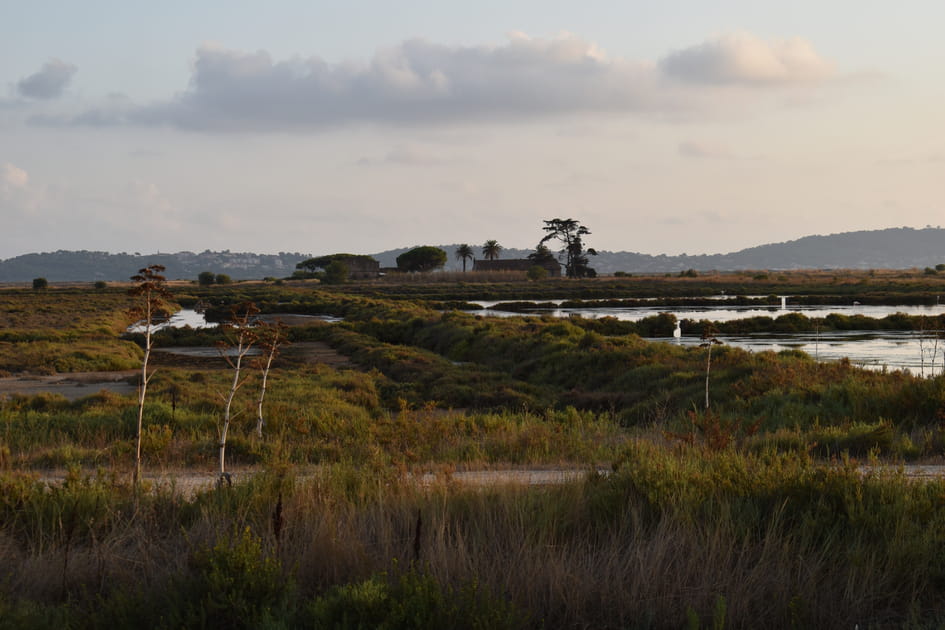 Le Salin des Pesquiers, Var