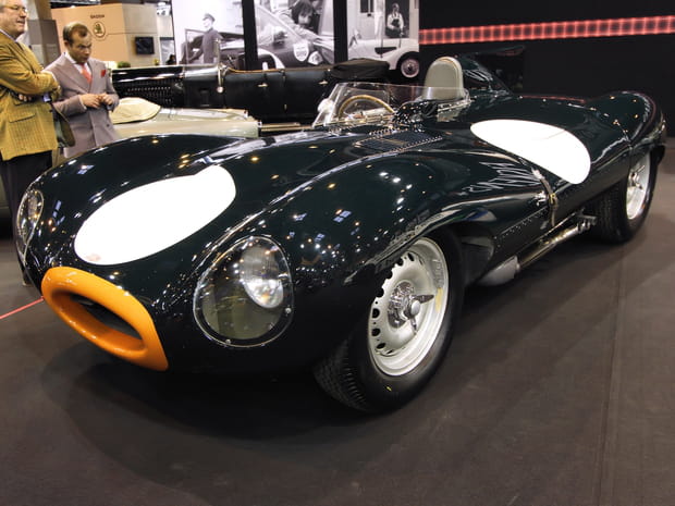 Jaguar Type D