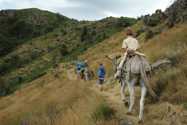 Dans les Cévennes avec Ânambule