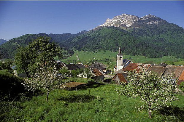 Village verdoyant