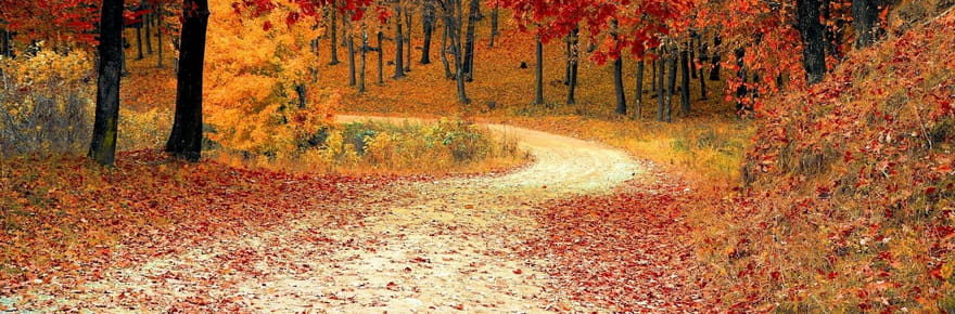 Des milliers de Fran&ccedil;ais s'y pressent, c'est la balade d'automne n&deg;1&nbsp;en France