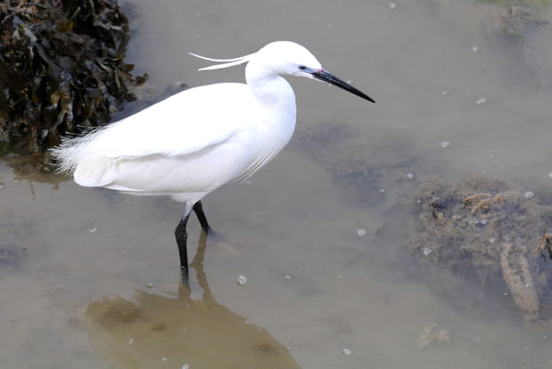 Les pieds dans l'eau