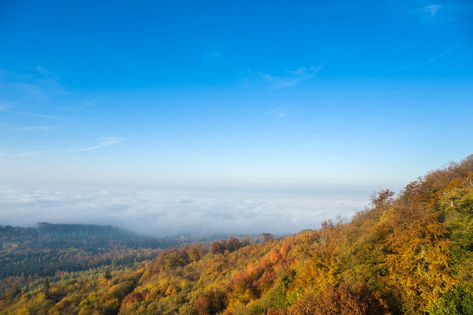 La vall&eacute;e du Haut-Rhin moyen en Allemagne