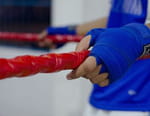 MMA : UFC