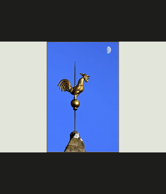 Le coq brave la Lune