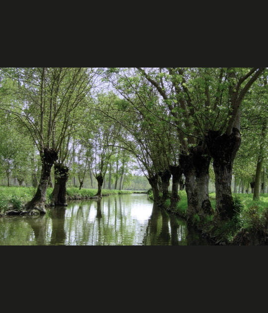 Au c&oelig;ur de la Venise verte