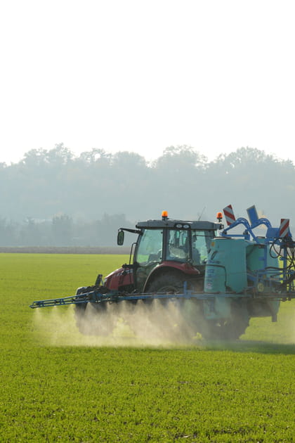 L'&eacute;limination progressive des pesticides...