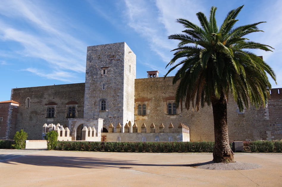Le Palais des Rois de Majorque