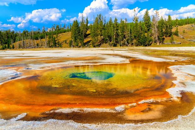 Morning Glory à Yellowstone